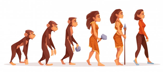 Humor Ewolucja Darwina Kobieta
